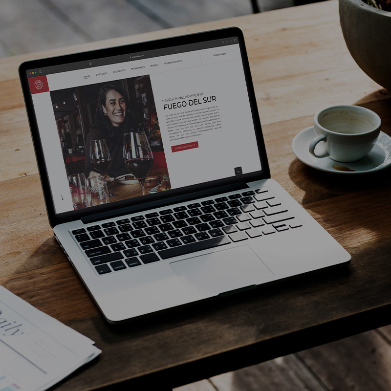 website Fuego del Sur